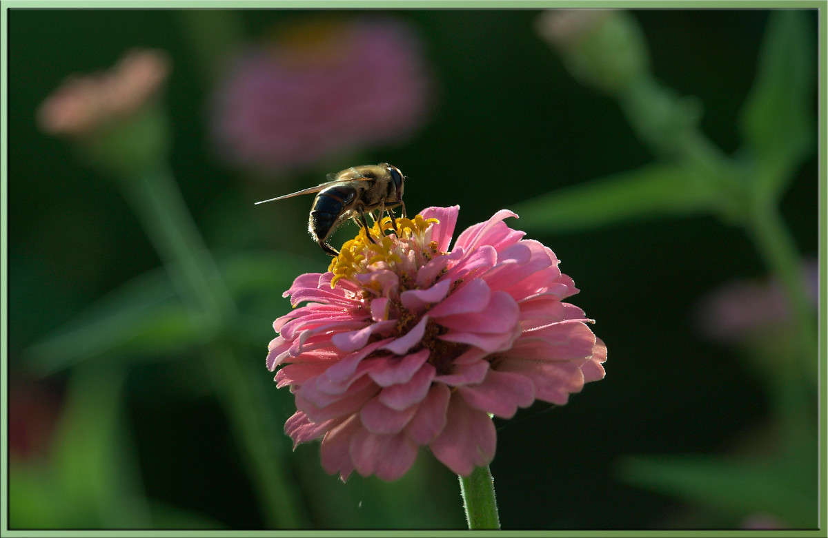 ����� ������� ����� ������  �� PhotoGeek.ru #������ ��� �������