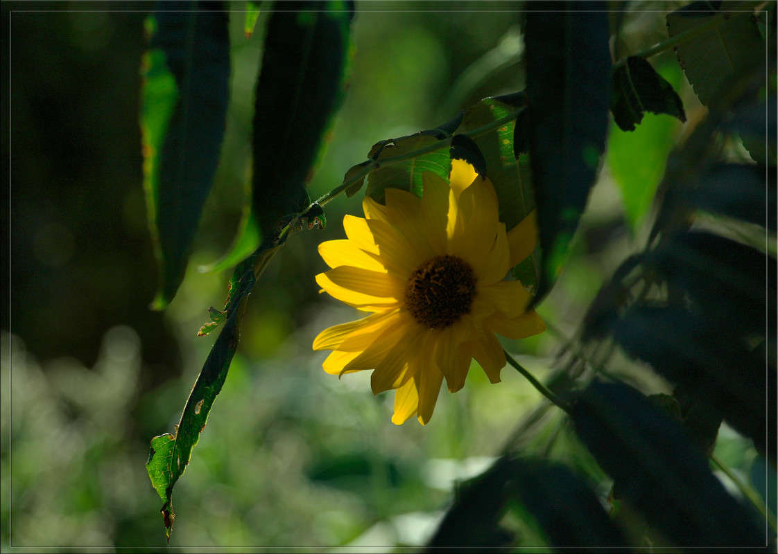 �� ���� ��� ������� ����� ������  �� PhotoGeek.ru #������ ��� �������