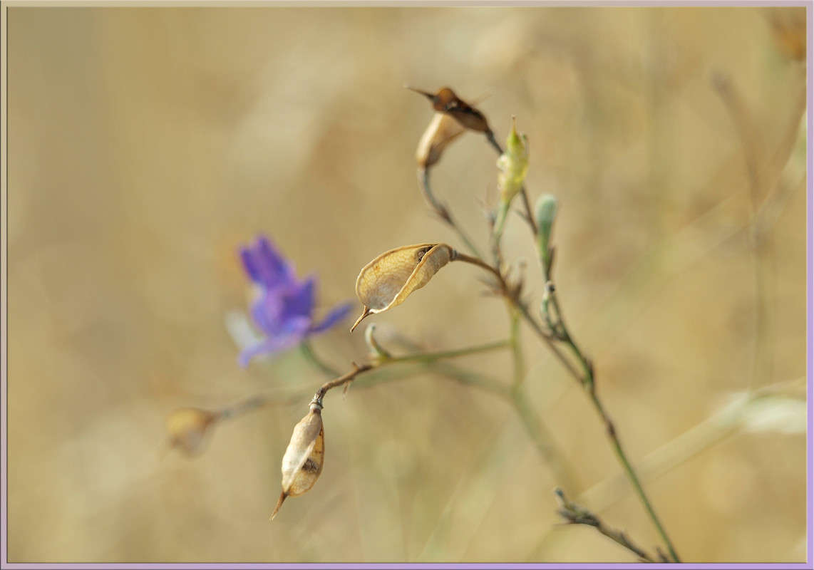 ������� �������� ����� ������  �� PhotoGeek.ru #������ ��� �������