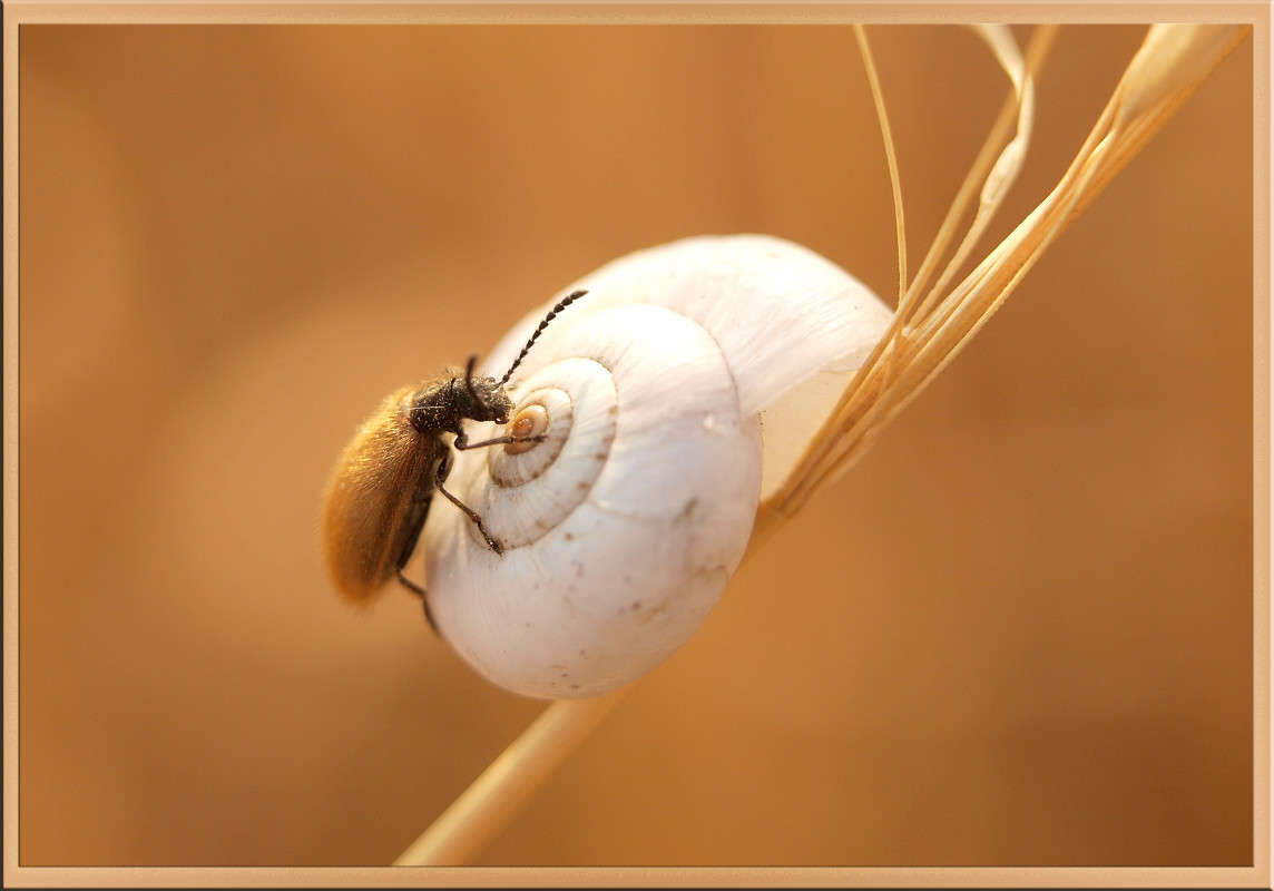 ������ �� ������� ����� ������  �� PhotoGeek.ru #�����