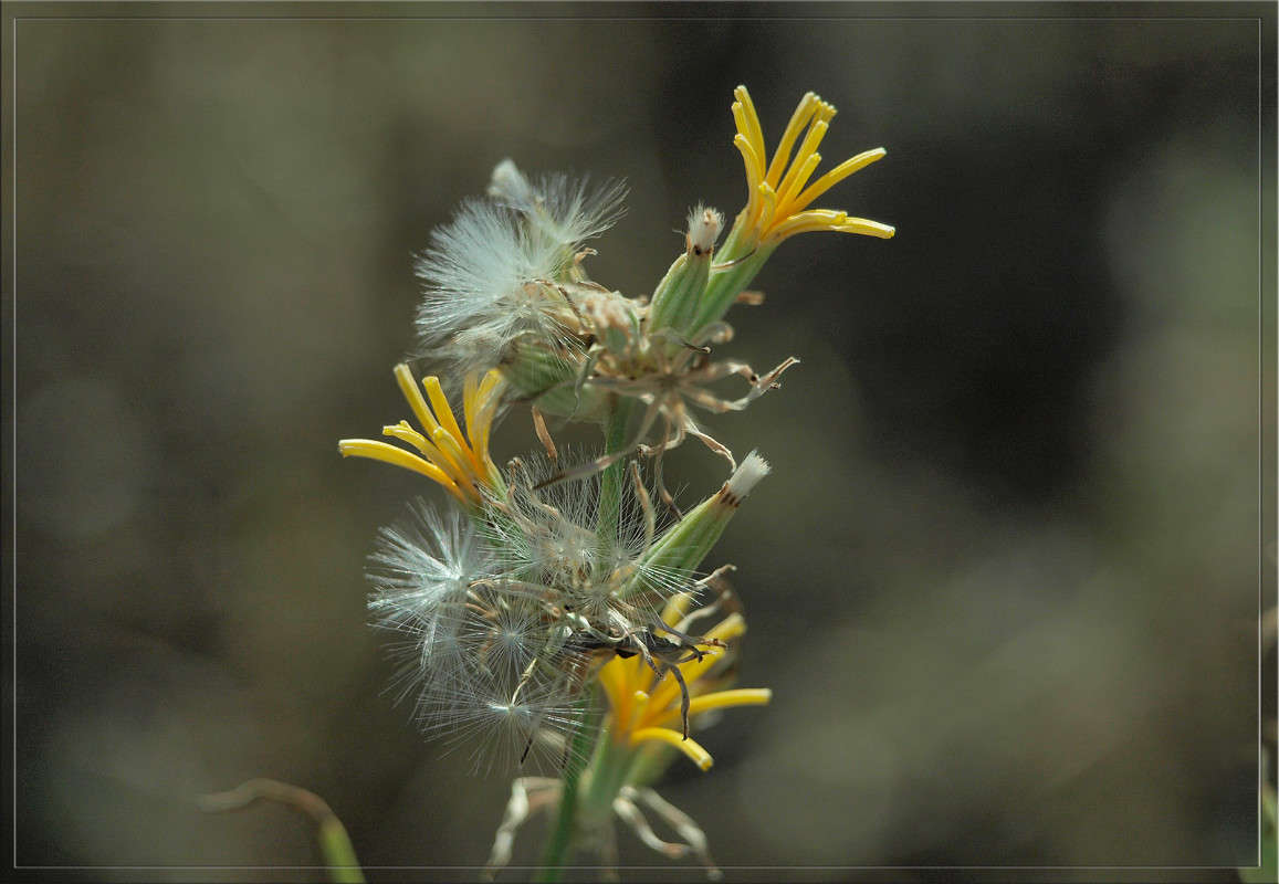 ������ � ������ ����� ������  �� PhotoGeek.ru #������ ��� �������