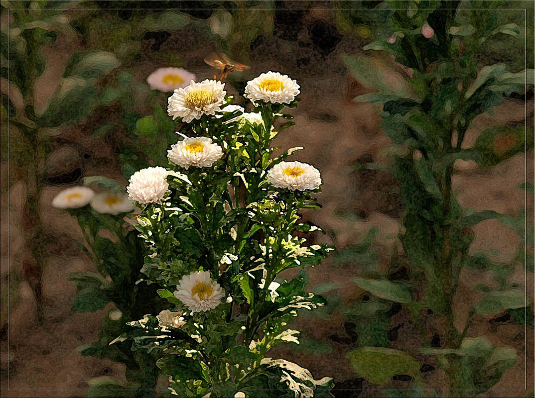 ������� ����� � ���� ����� ������  �� PhotoGeek.ru #������ ��� �������