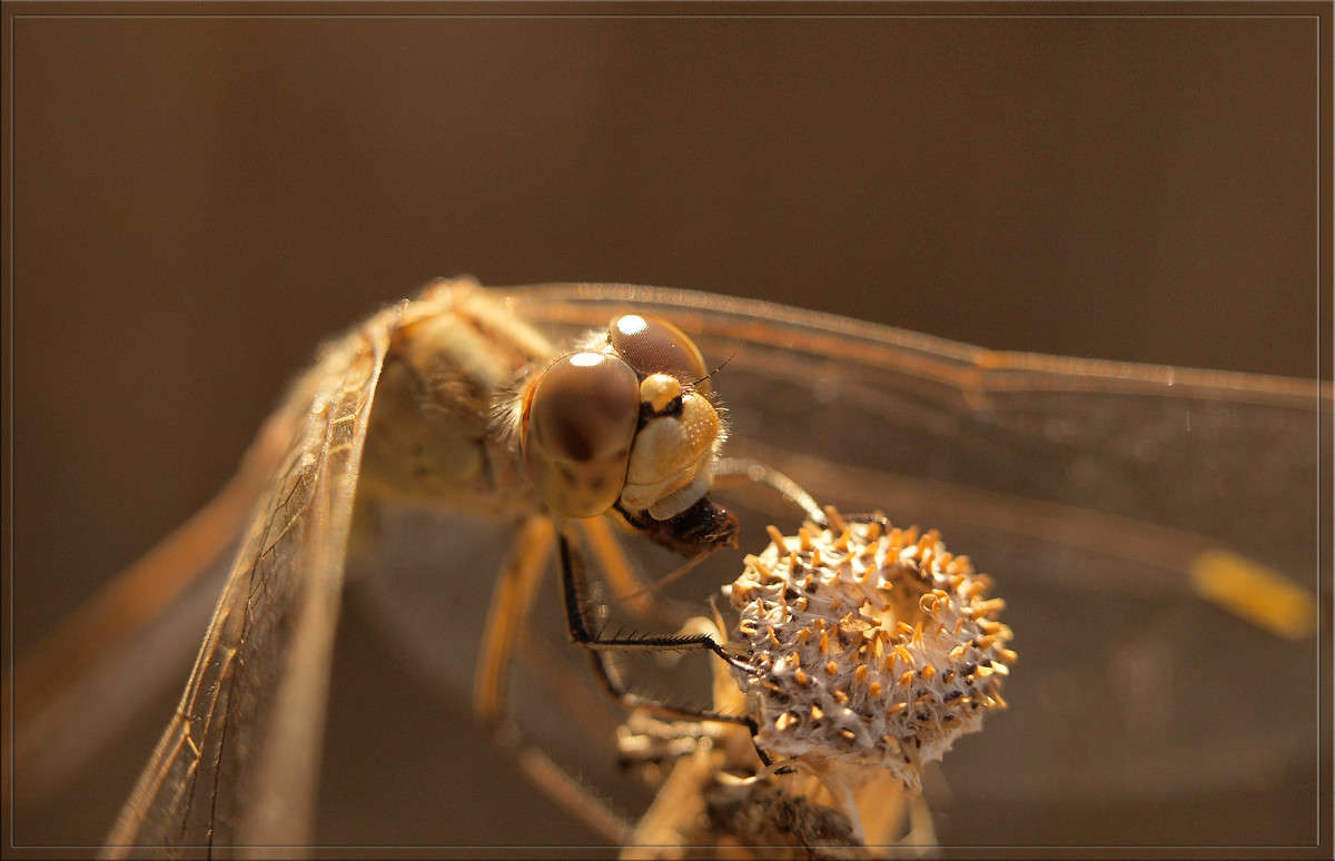 ������� � ������ ����� ������  �� PhotoGeek.ru #�����