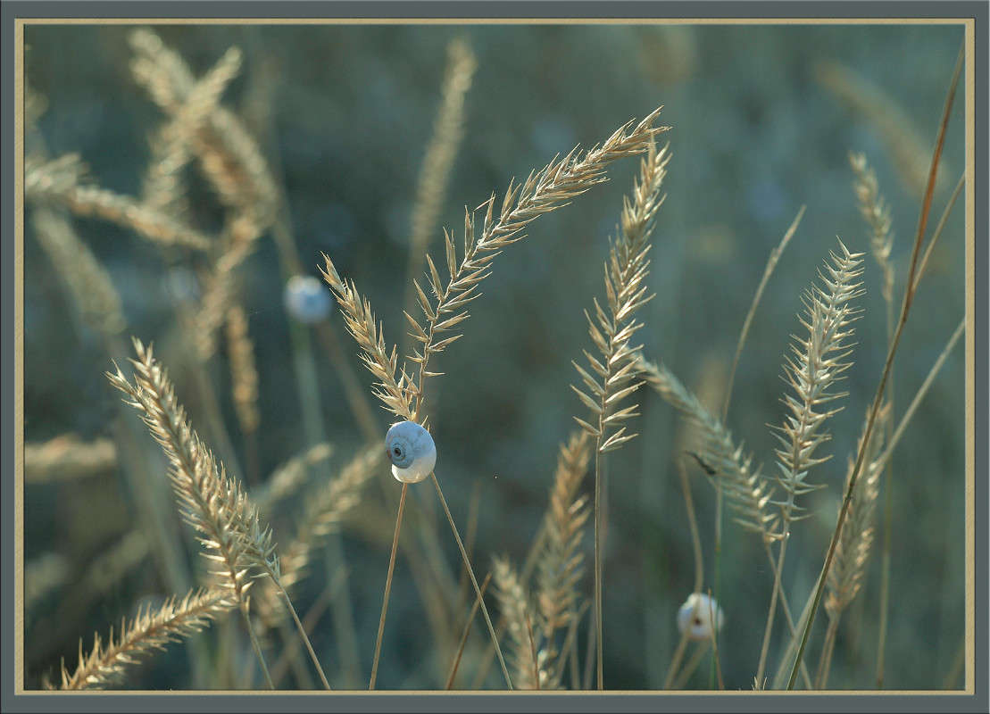 "�������" ����� ����� ������  �� PhotoGeek.ru #������ ��� �������