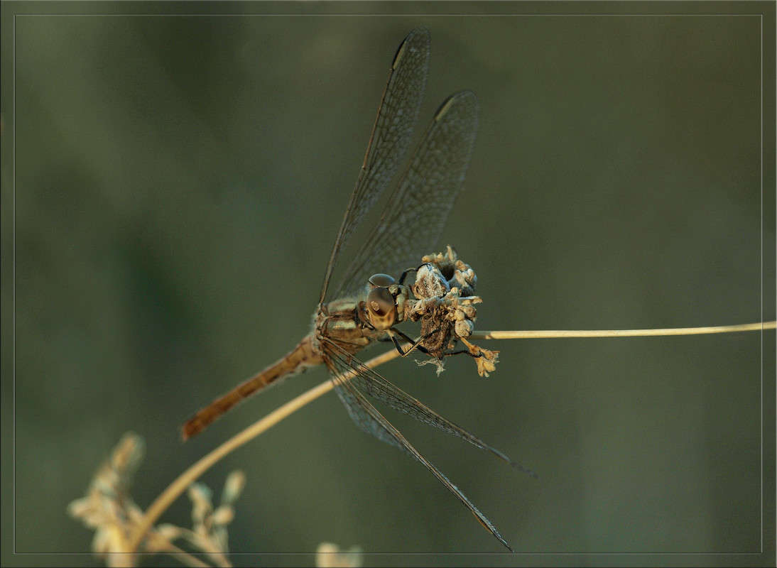 ���������� ������ ���� ����� ������  �� PhotoGeek.ru #�����