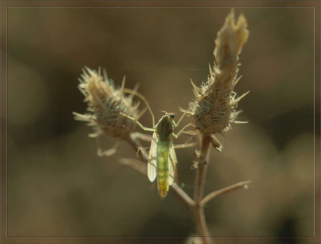 ���������� �������� ����� ������  �� PhotoGeek.ru #������ ��� �������