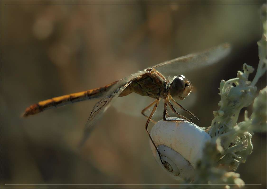 �������� � ��������� ����� ������  �� PhotoGeek.ru #�����