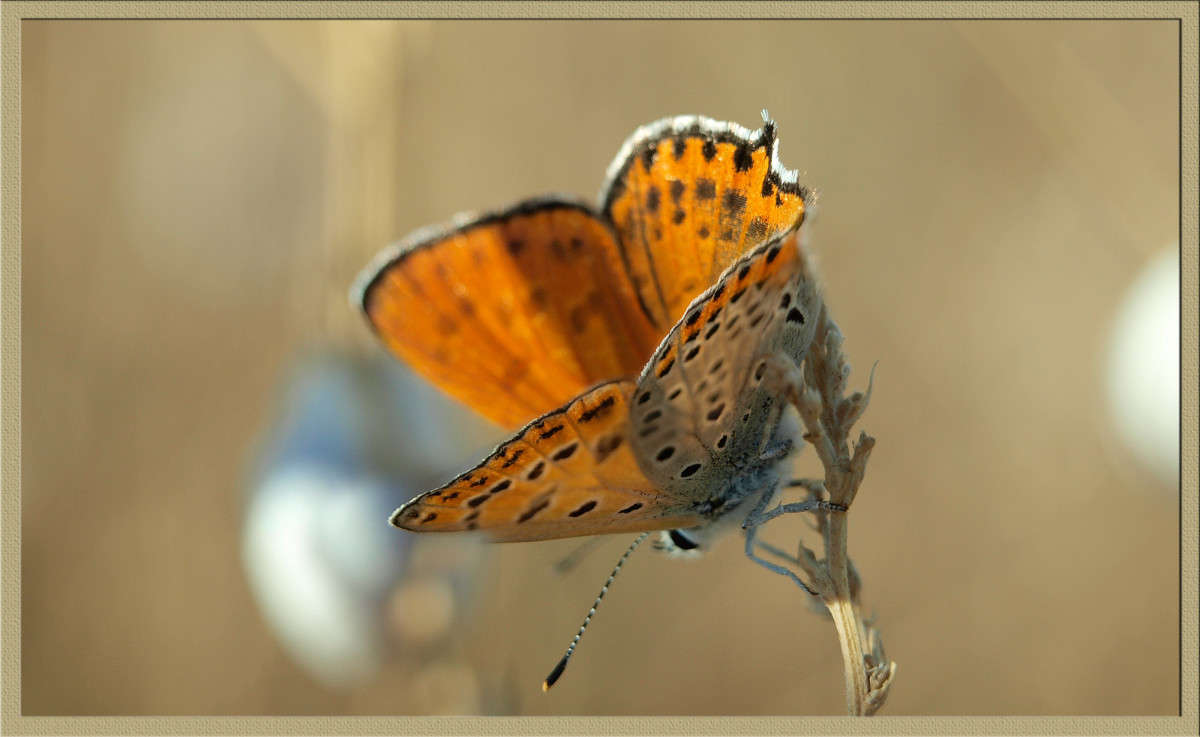 ����� ����� ������  �� PhotoGeek.ru #�����