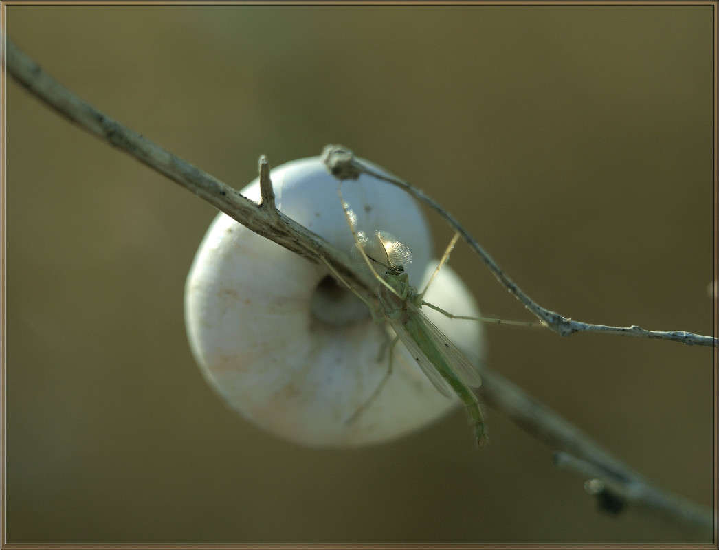 ����� ����� �� ����� ����� ������  �� PhotoGeek.ru #�����