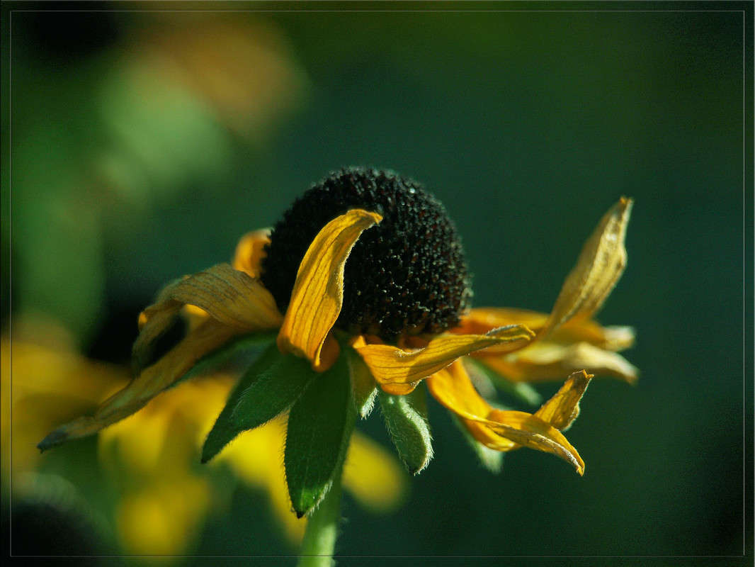 ��������� ����� ������  �� PhotoGeek.ru #������ ��� �������