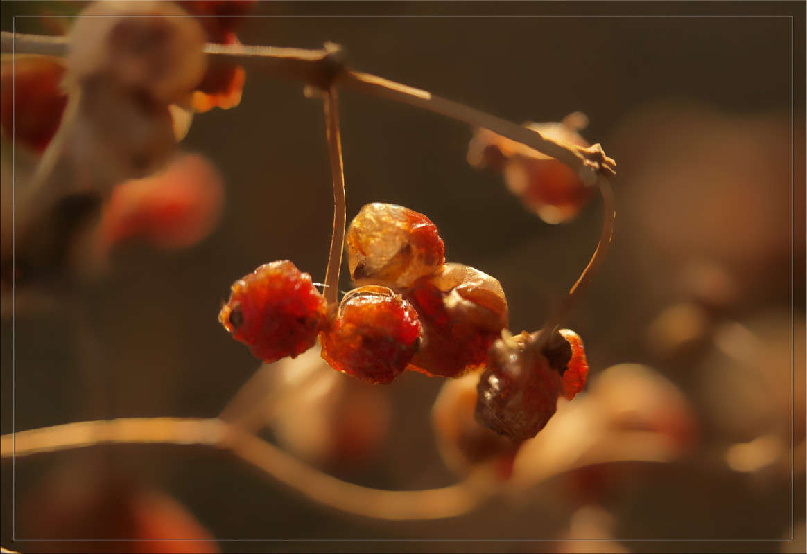 ��� �� ������ ����� ������  �� PhotoGeek.ru #������ ��� �������