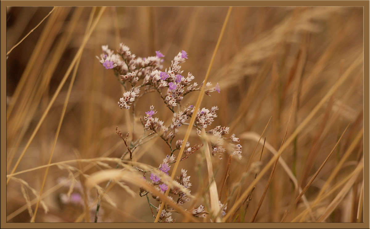 ������� ����� ������  �� PhotoGeek.ru #������ ��� �������