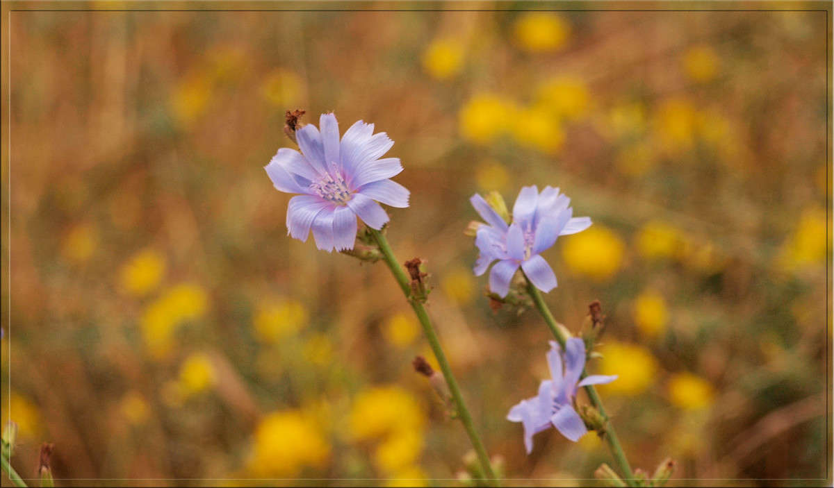 ������� 2 ����� ������  �� PhotoGeek.ru #������ ��� �������