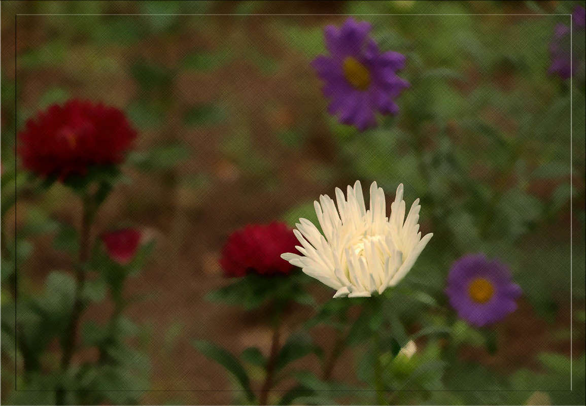 ������� �������� ����� ������  �� PhotoGeek.ru #������ ��� �������