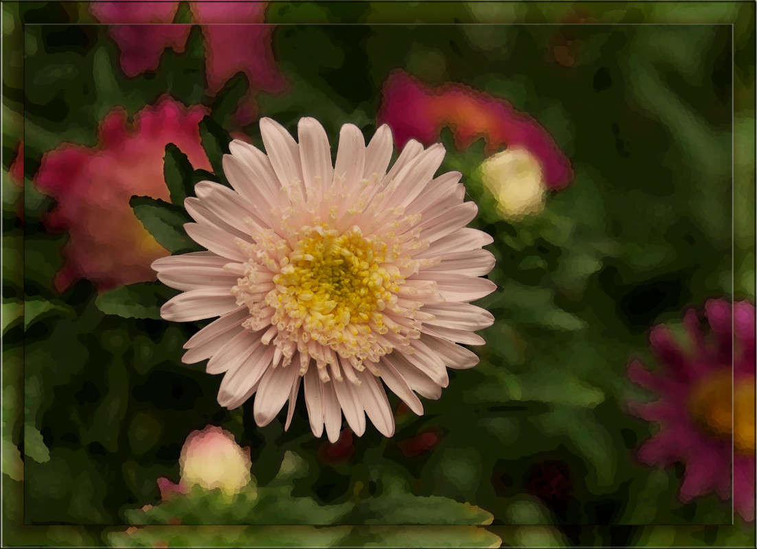 ��� � ����� ����� ����� ������  �� PhotoGeek.ru #������ ��� �������