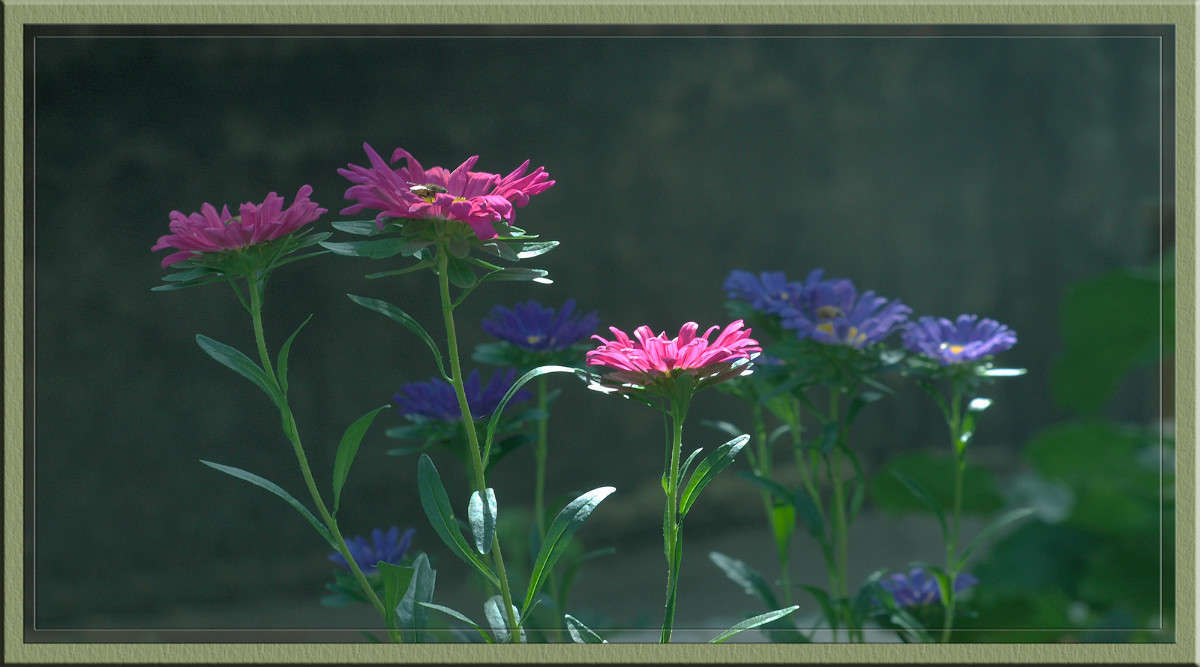 ������ ����� � ����� ����� ������  �� PhotoGeek.ru #������ ��� �������