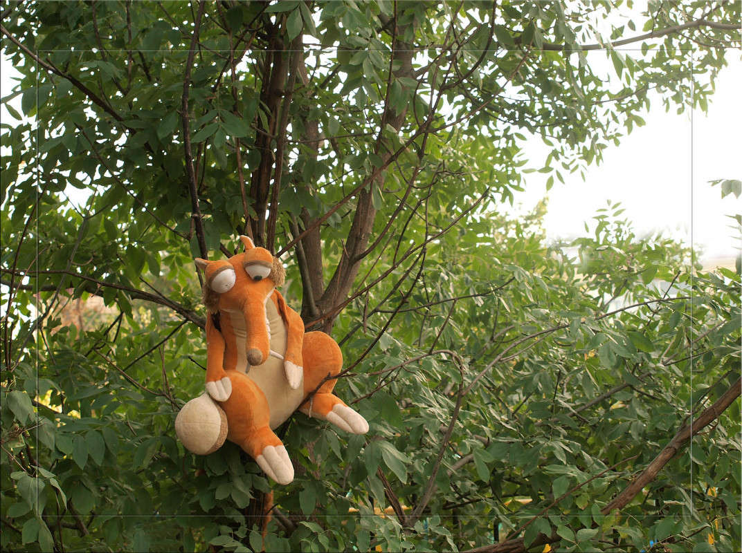 ������� ���������� ����� ������  �� PhotoGeek.ru #�������� ����������