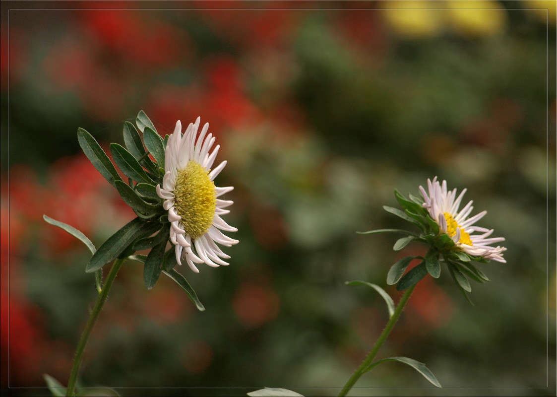 ������� ������ ����� ������  �� PhotoGeek.ru #������ ��� �������