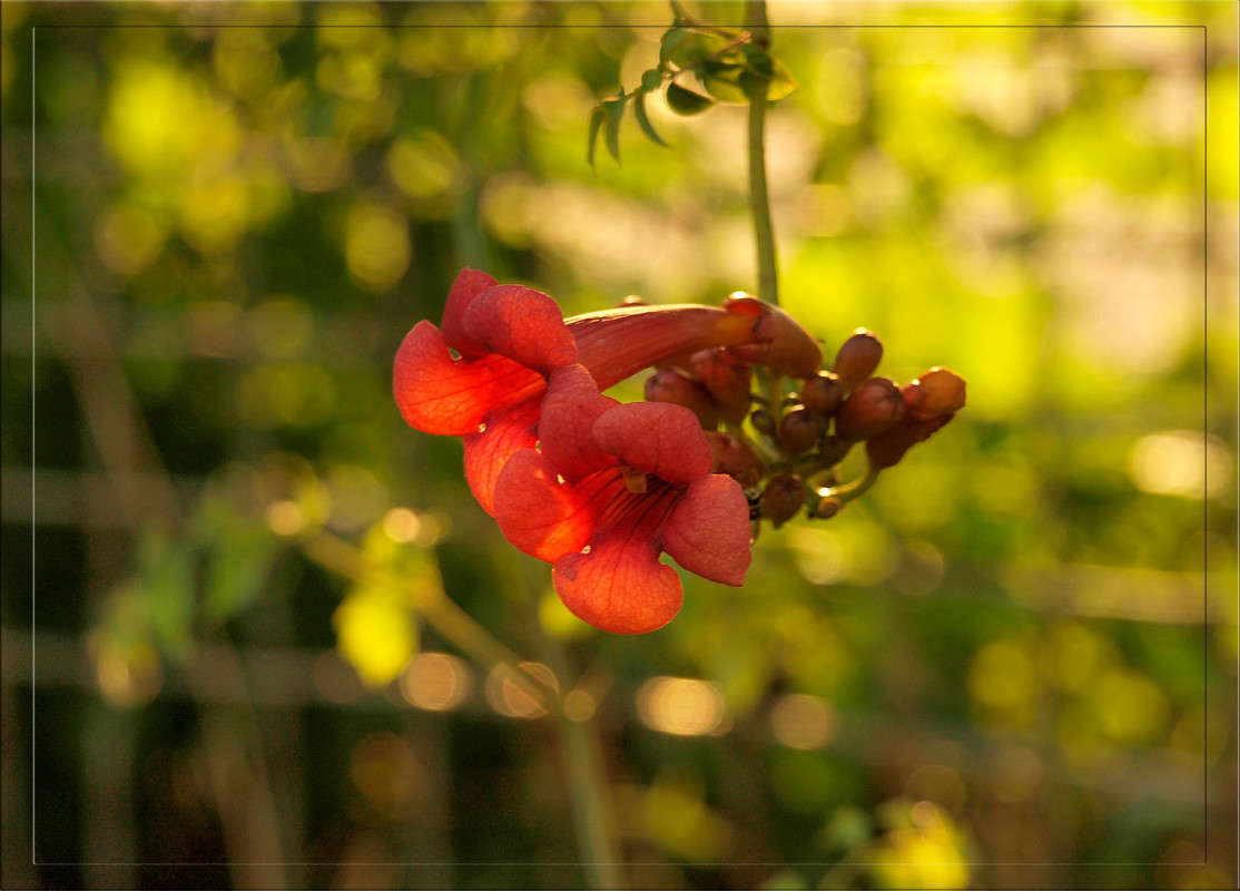 ������� ����� ������  �� PhotoGeek.ru #������ ��� �������