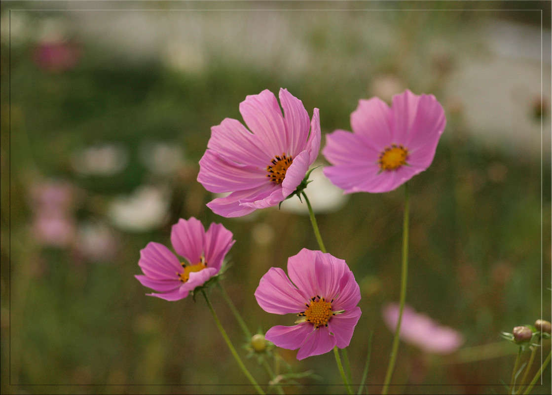 ������� 2 ����� ������  �� PhotoGeek.ru #������ ��� �������