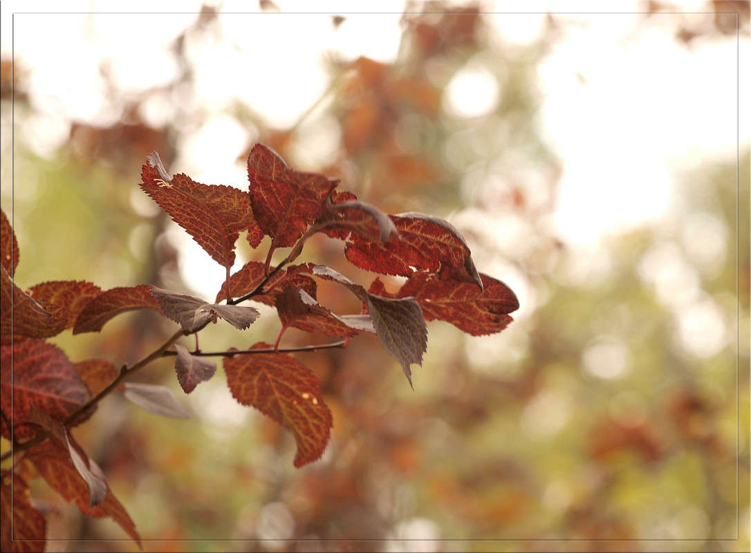 ������� 5 ����� ������  �� PhotoGeek.ru #������ ��� �������