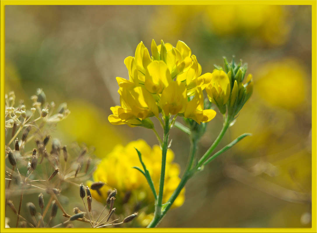 ������� 6 ����� ������  �� PhotoGeek.ru #������ ��� �������