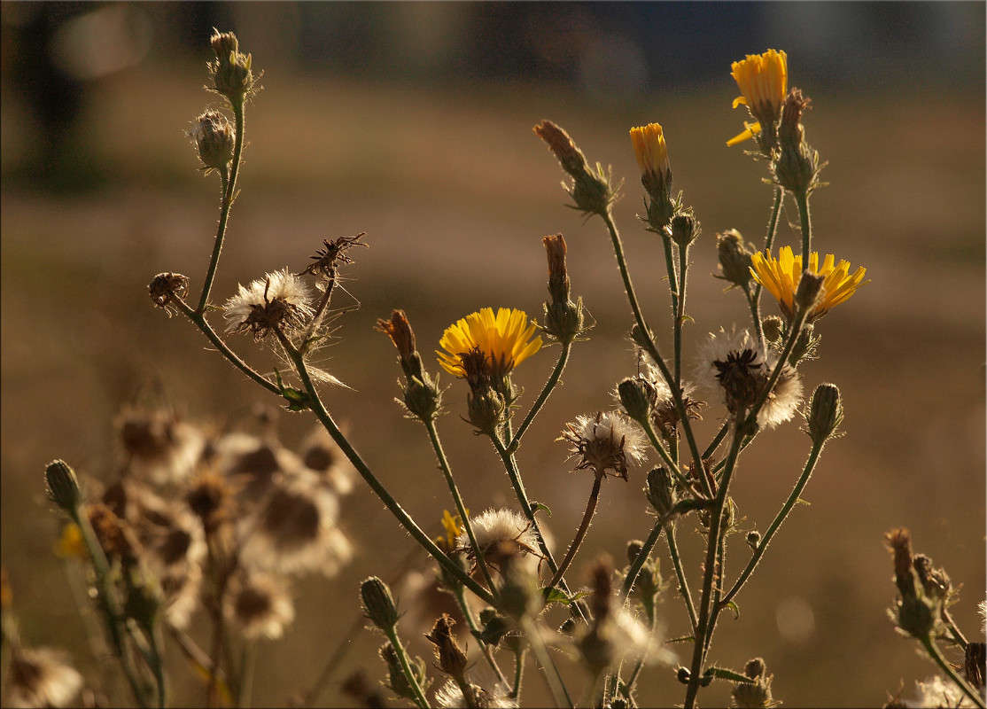 ������� 7 ����� ������  �� PhotoGeek.ru #������ ��� �������