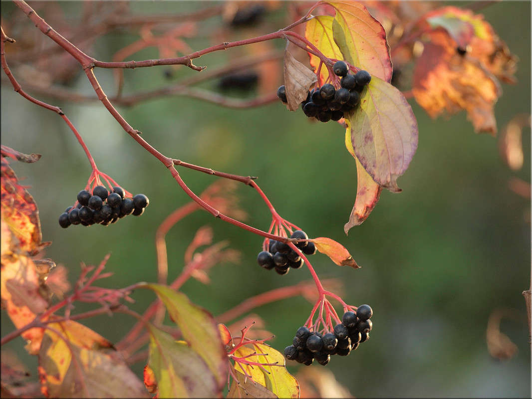 ������� 8 ����� ������  �� PhotoGeek.ru #������ ��� �������