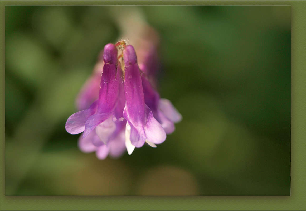 ����������� ����� ������  �� PhotoGeek.ru #������ ��� �������