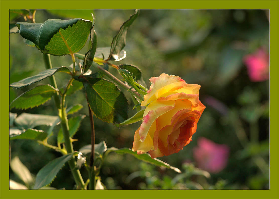 �� ������������ ����� ����� ������  �� PhotoGeek.ru #������ ��� �������