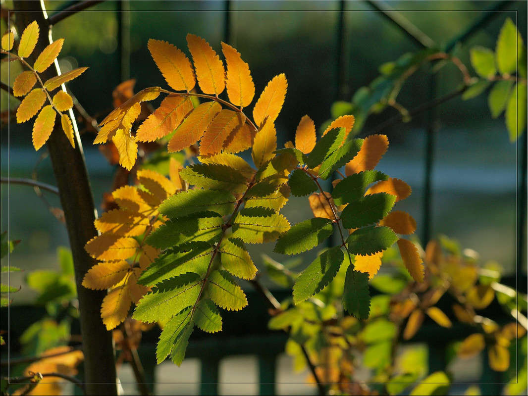 ������� ��������� ����� ������  �� PhotoGeek.ru #������ ��� �������