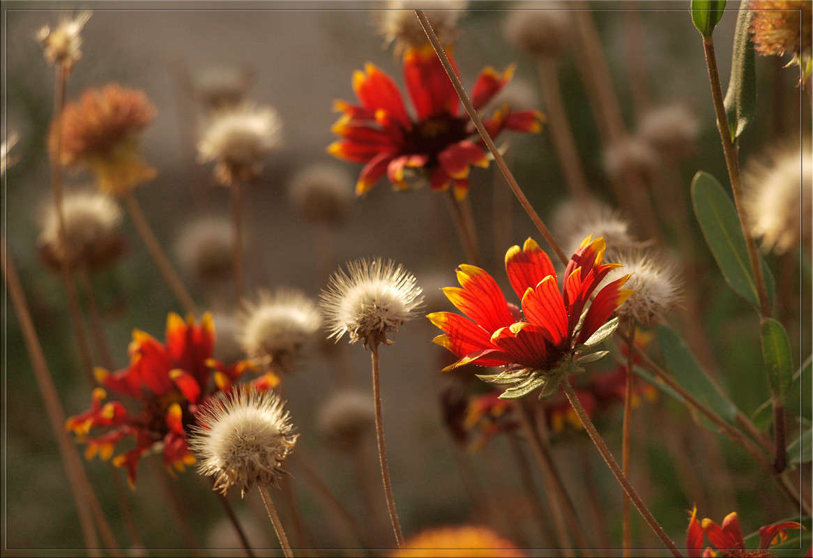 ������� ��������� 3 ����� ������  �� PhotoGeek.ru #������ ��� �������