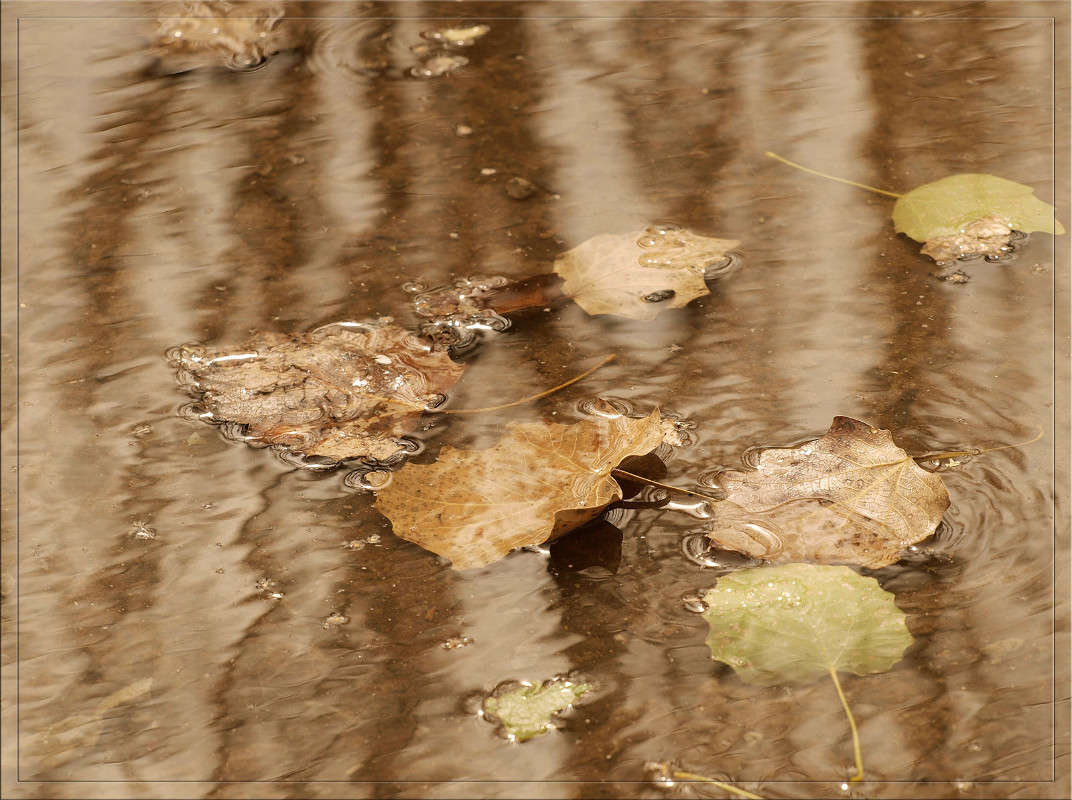 ����� � ���� ����� ������  �� PhotoGeek.ru #������ ��� �������