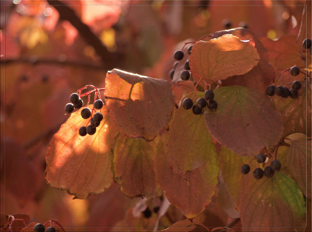 ������ � �������� ����� ������  �� PhotoGeek.ru #������ ��� �������