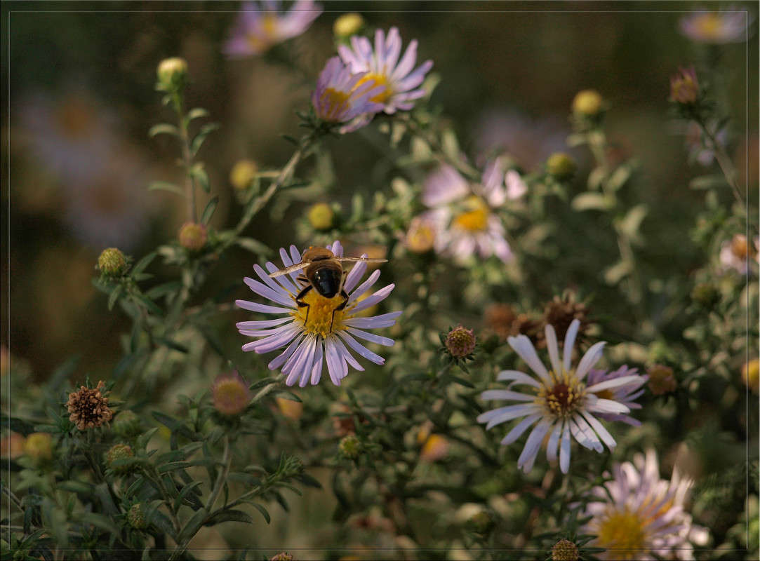 � ������ ������� � ��������� ����� ����� ������  �� PhotoGeek.ru #������ ��� �������