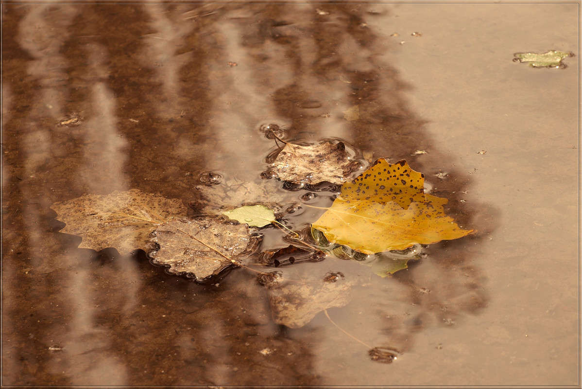 ������ � ���� 2 ����� ������  �� PhotoGeek.ru #������ ��� �������