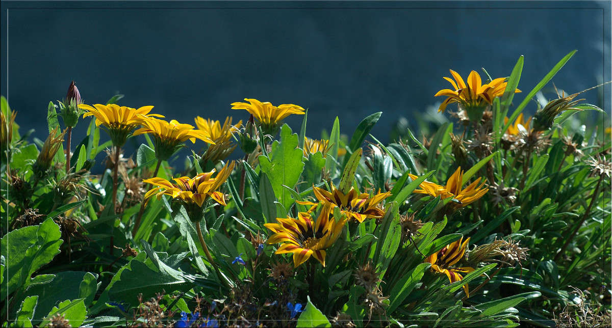 � ����� ����� ������  �� PhotoGeek.ru #������ ��� �������