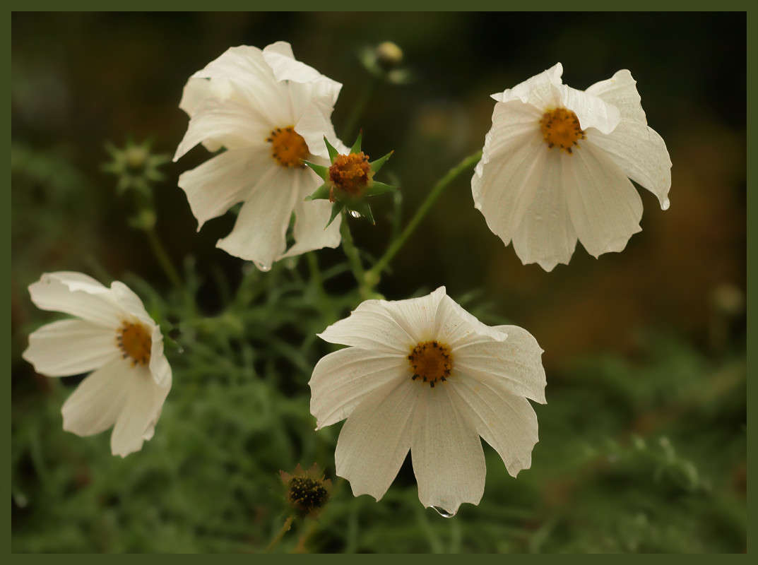 �������� ����� ������  �� PhotoGeek.ru #������ ��� �������