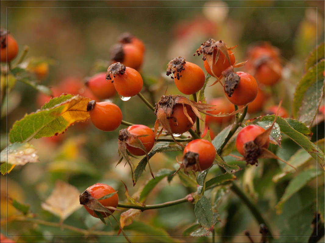 �������� 2 ����� ������  �� PhotoGeek.ru #������ ��� �������