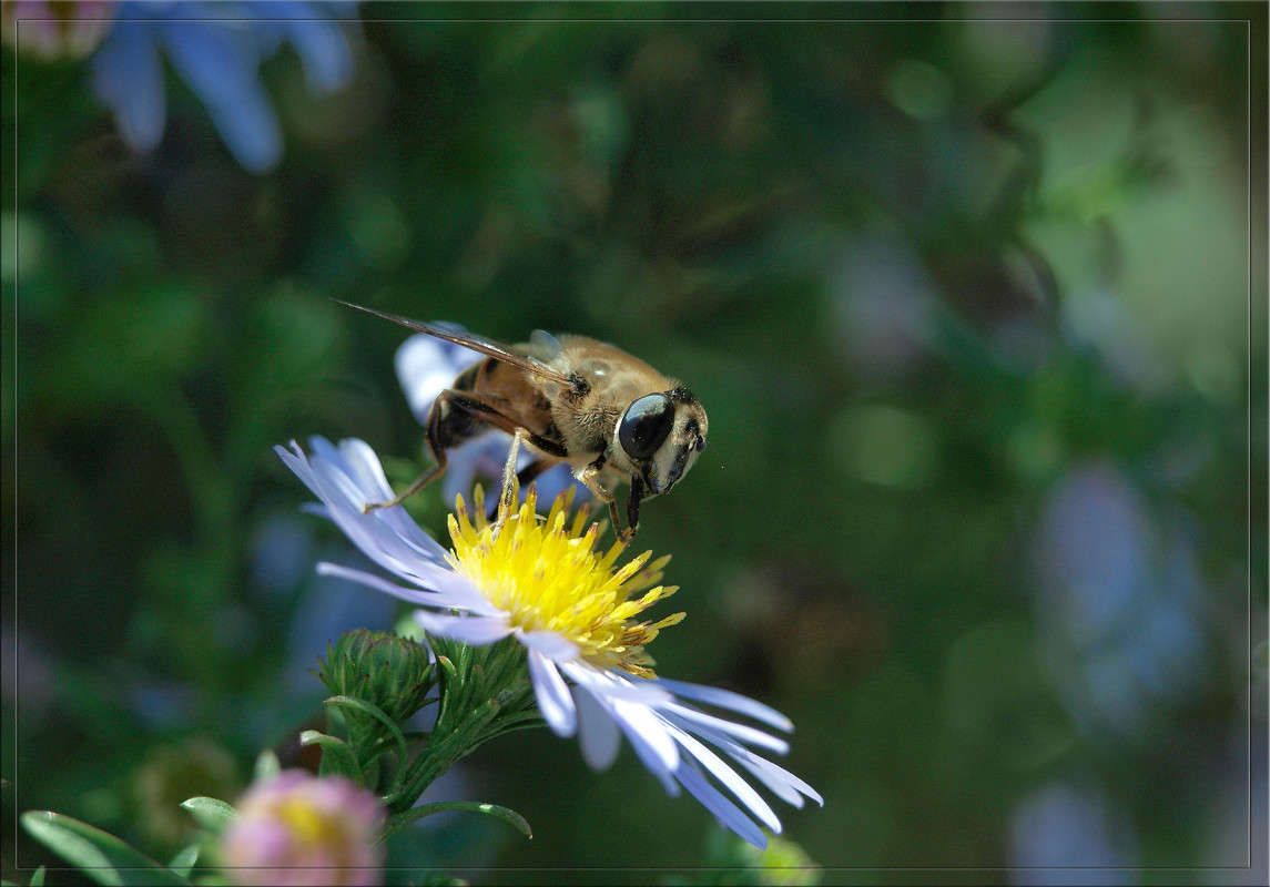 ������� ����� ����� ������  �� PhotoGeek.ru #������ ��� �������