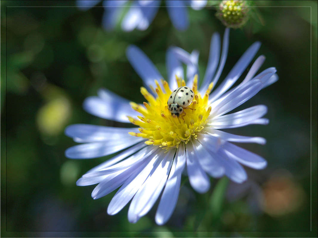 ��������� � ������� ����� ������  �� PhotoGeek.ru #�����