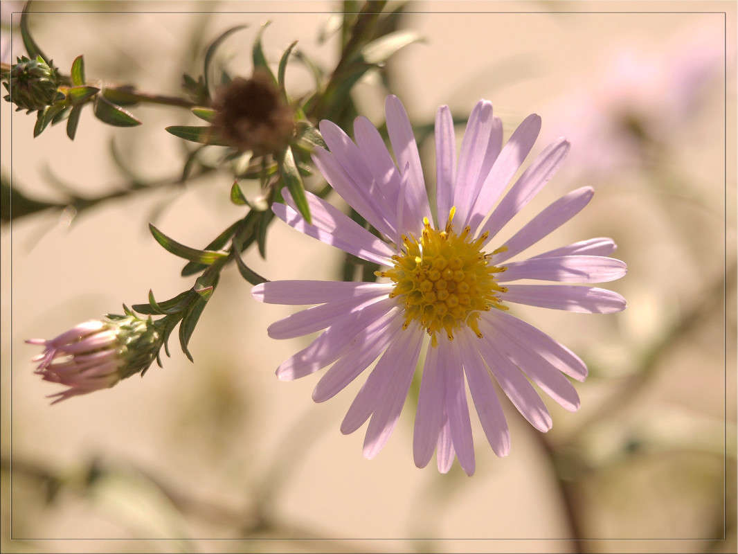 ����������� ��������� ����� ������  �� PhotoGeek.ru #������ ��� �������