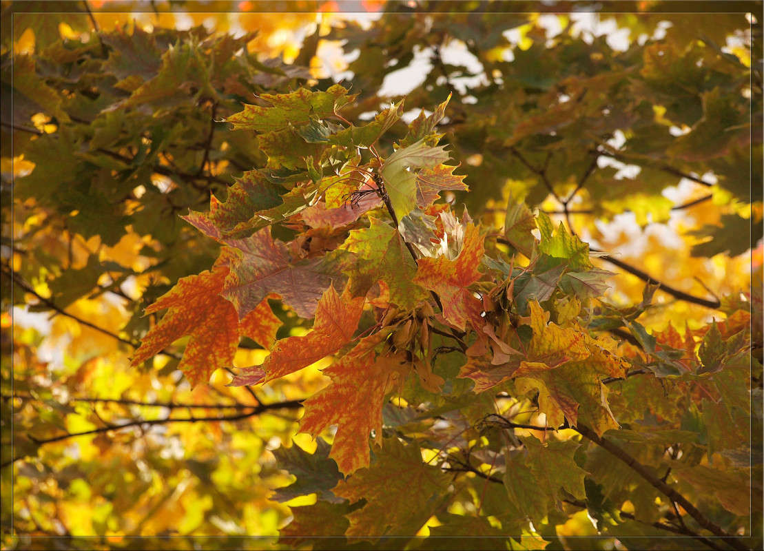 �������  9 ����� ������  �� PhotoGeek.ru #������ ��� �������