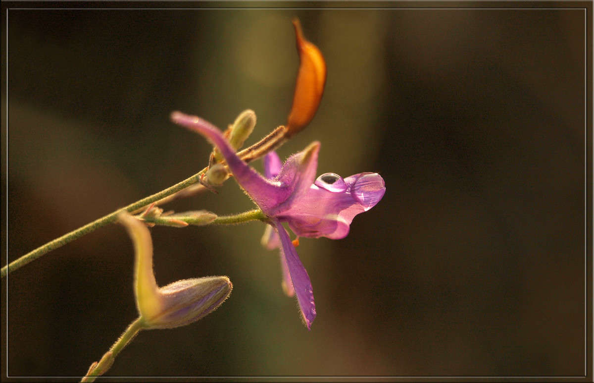 ��� ����� ����� ������  �� PhotoGeek.ru #������ ��� �������