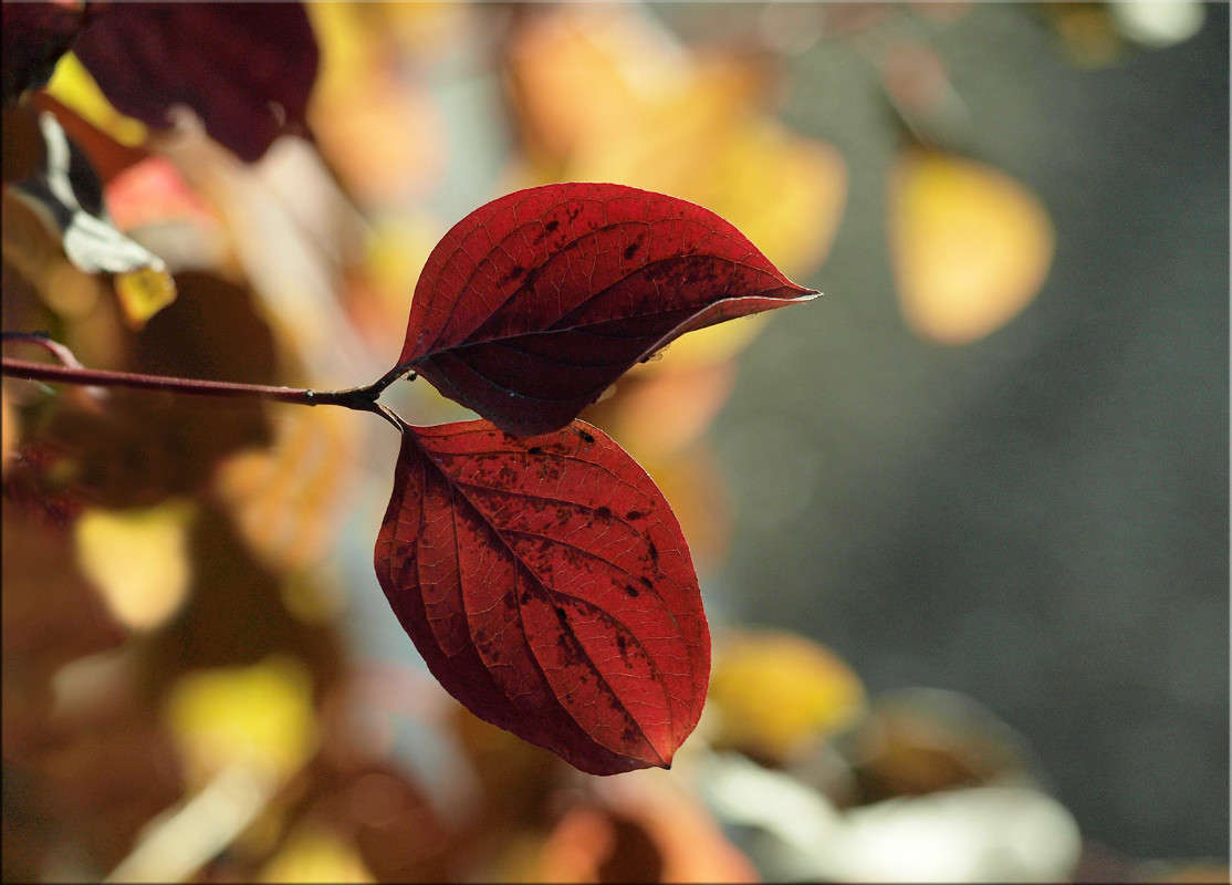 �������  11 ����� ������  �� PhotoGeek.ru #������ ��� �������