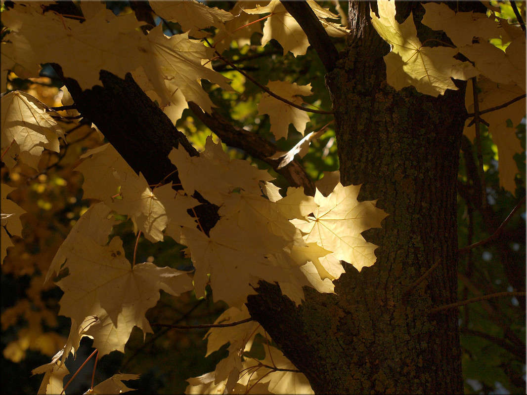 �������  12 ����� ������  �� PhotoGeek.ru #������ ��� �������