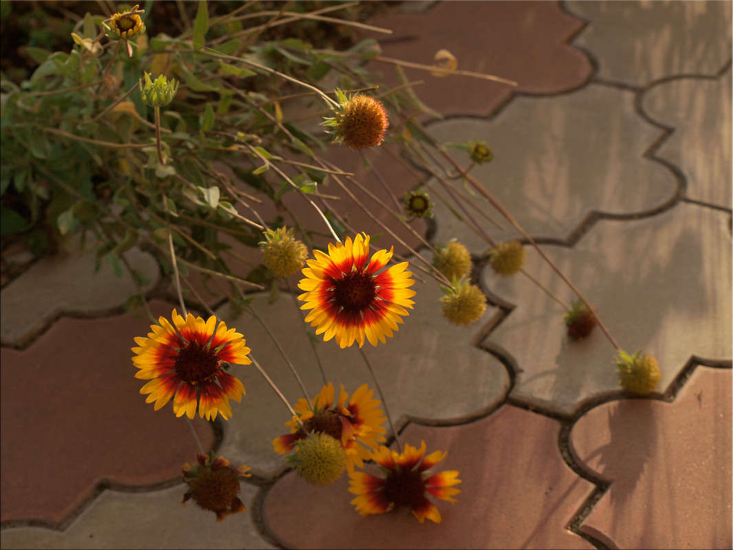 �������  15 ����� ������  �� PhotoGeek.ru #������ ��� �������