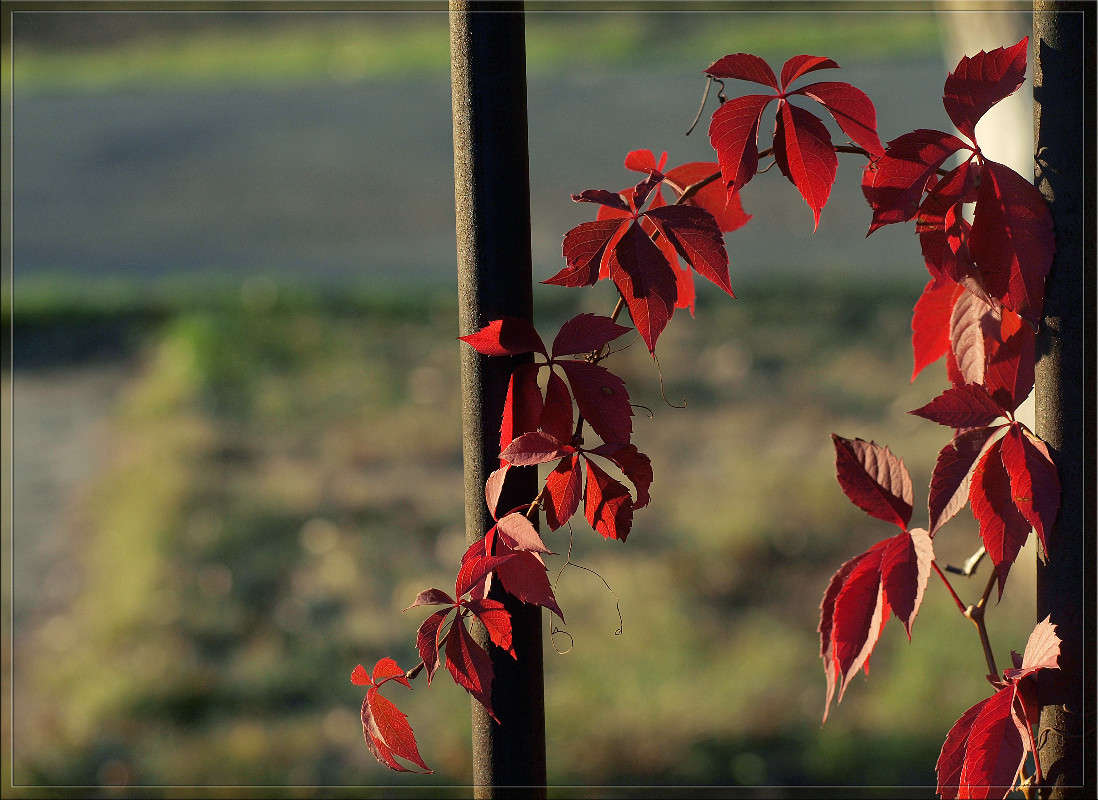 �������  14 ����� ������  �� PhotoGeek.ru #������ ��� �������