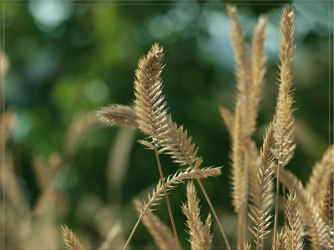 �������  17 ����� ������  �� PhotoGeek.ru #������ ��� �������