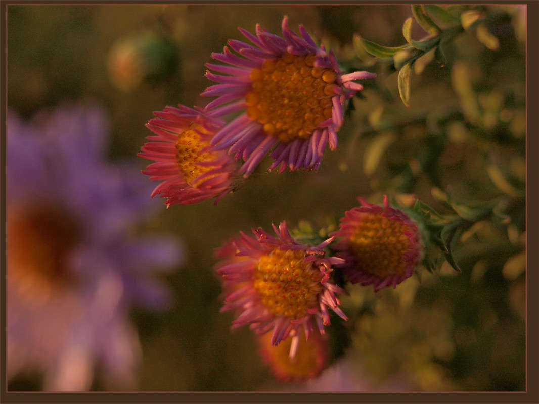 �������  17 ����� ������  �� PhotoGeek.ru #������ ��� �������